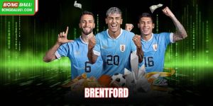 Brentford Anh: Sức Mạnh Và Phong Cách Bóng Đá Đỉnh Cao