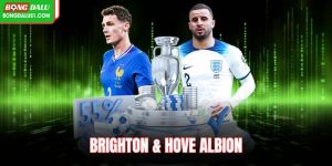 Brighton & Hove Albion: Trụ Cột Nào Dẫn Lối Cho Clb