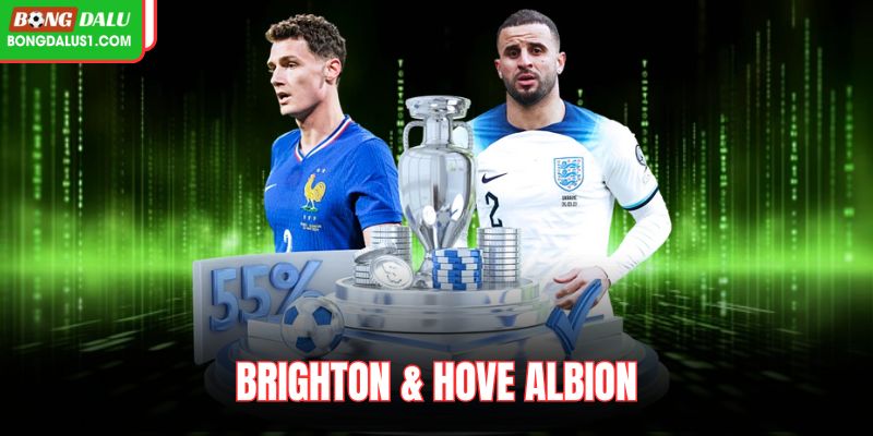 Brighton & Hove Albion: Trụ Cột Nào Dẫn Lối Cho Clb
