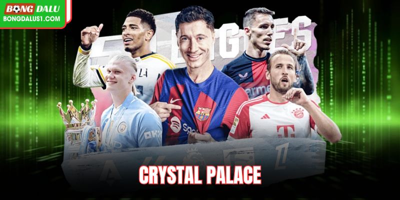 Crystal Palace Với Phong Đội Thi Đấu Đầy Triển Vọng